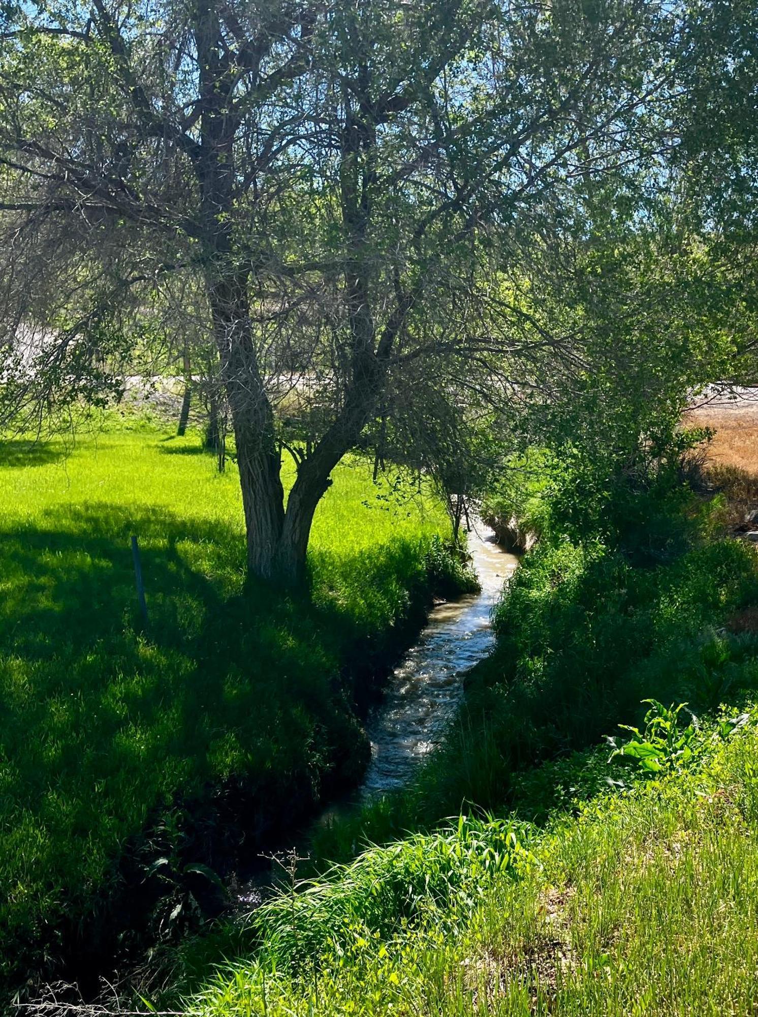 Let'S Go ! Fisherman, Families, Pools One Minute From Your Door, Comfort, Location Perfect, Amenity-Rich, Pup Friendly, Discover An Exceptional Wyoming Stay, Thermopolis River Walk Home At Hot Springs State Park, 'Where Families And Fisherman Stay' 외부 사진
